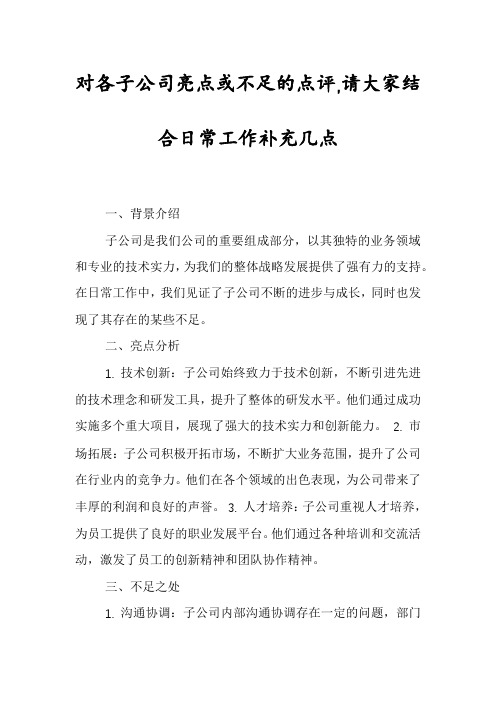 对各子公司亮点或不足的点评,请大家结合日常工作补充几点