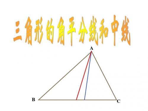 三角形的角平分线和中线[下学期]--浙教版1-