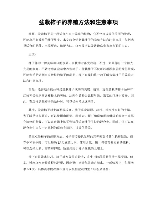 盆栽柿子的养殖方法和注意事项