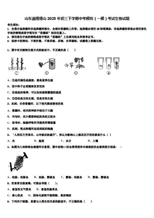 山东淄博博山2025年初三下学期中考模拟(一模)考试生物试题含解析