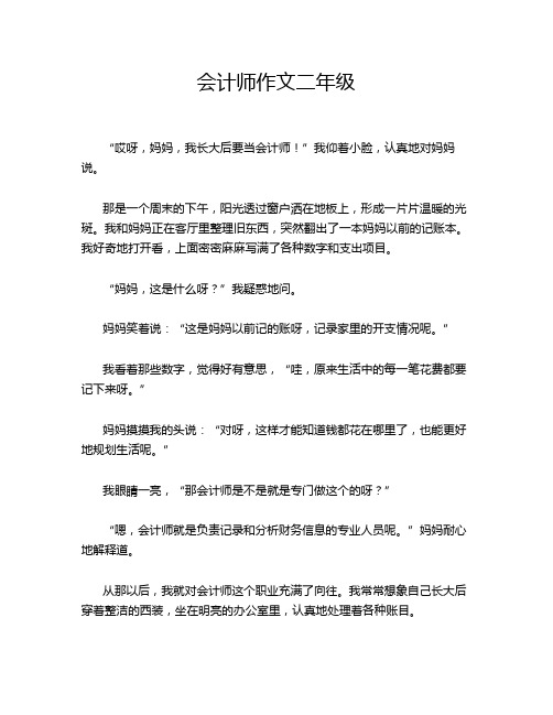 会计师作文二年级