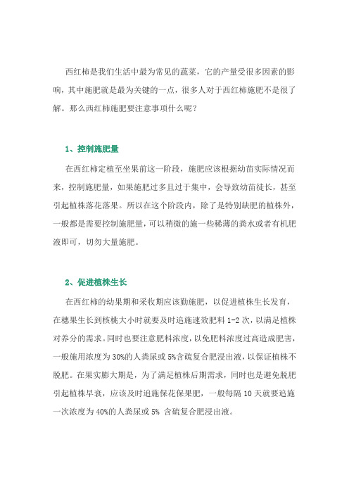 西红柿施肥的注意事项