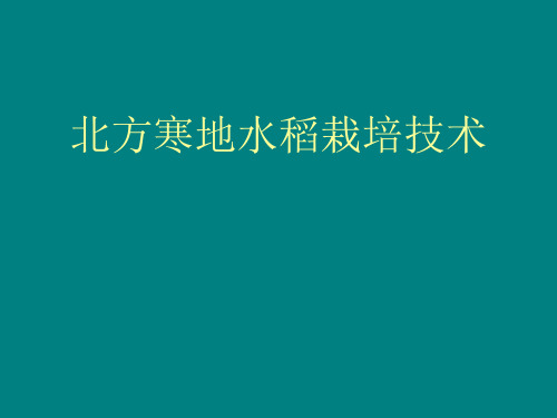 北方寒地水稻栽培技术