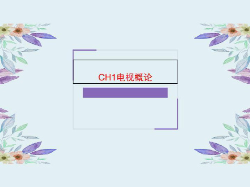 CH1电视概论