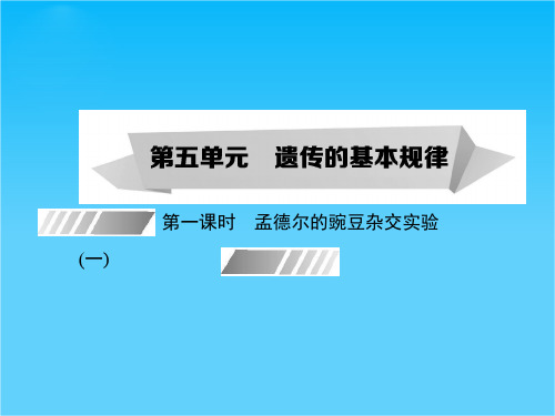 【考案】2015高考生物(人教版)一轮课件第05单元 第1课时 孟德尔的豌豆杂交实验(1)