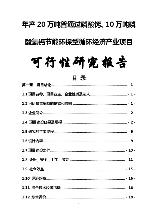 年产20万吨普通过磷酸钙、10万吨磷酸氢钙节能环保型循环经济产业项目可行性研究报告