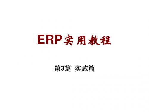 ERP实用教程第10章ERP实施前期准备