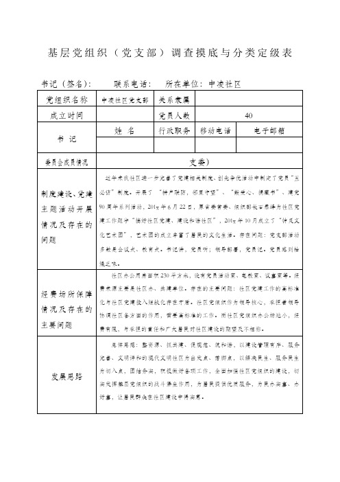 基层党组织(党支部)调查摸底与分类定级表