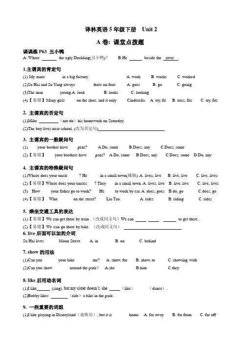 小学译林版英语五年级下册5Bunit2第二单元考点精练基础复习易错题整理按单元