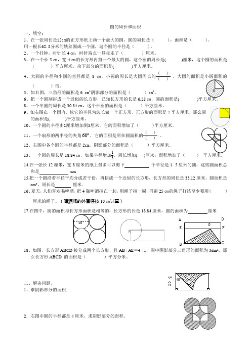 圆的周长和面积经典复习题