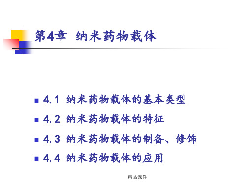 纳米药物载体