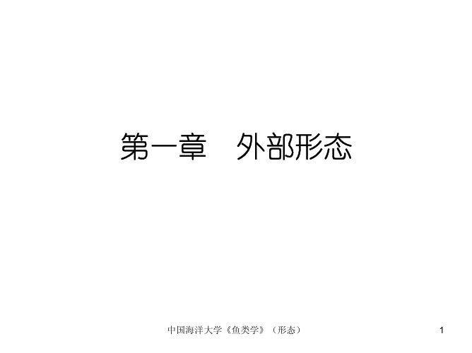 《鱼类学》形态部分