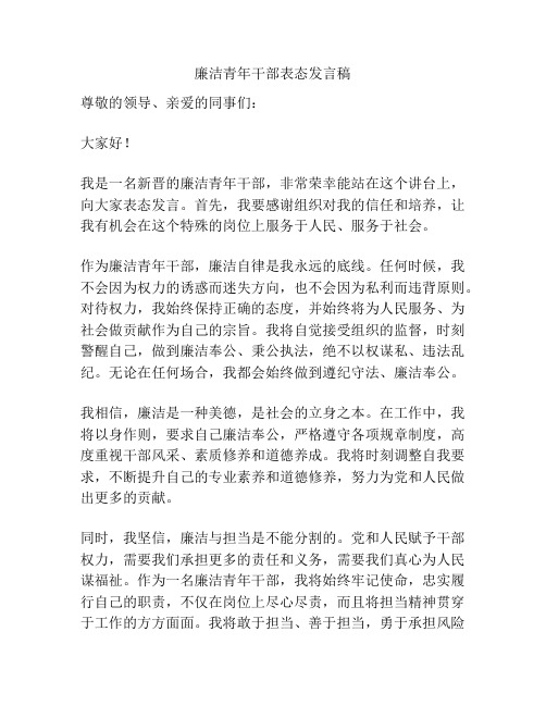 廉洁青年干部表态发言稿