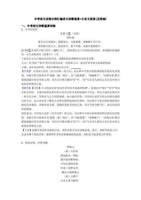 中考语文试卷分类汇编语文诗歌鉴赏+文言文阅读(及答案)