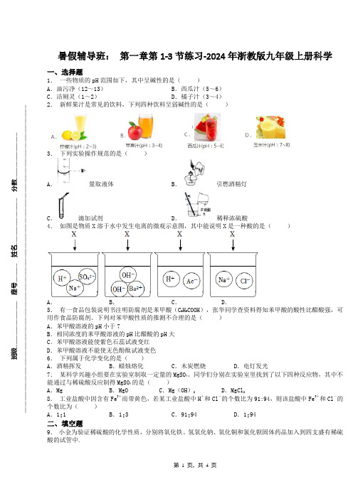 暑假辅导班： 第一章第1-3节练习-2024年浙教版九年级上册科学