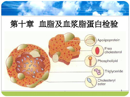 血脂及血浆脂蛋白检验ppt课件