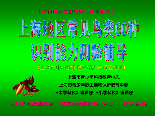 上海地区常见鸟类识别 共69页PPT资料