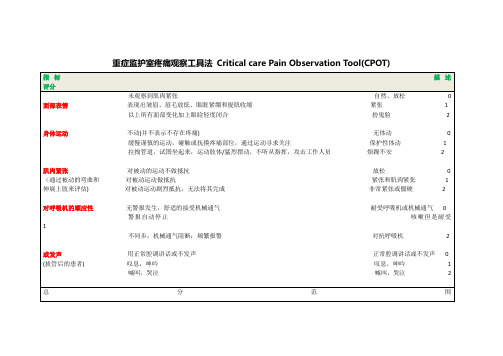 CPOT评分表