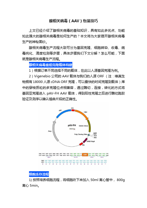 腺相关病毒（AAV）包装技巧