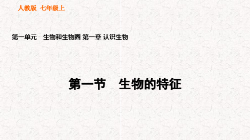 人教版七年级生物上册第一单元第一章认识生物 复习课件