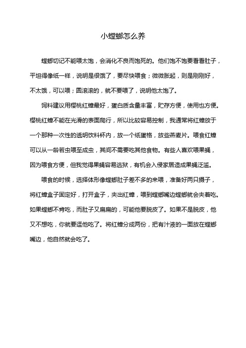 小螳螂怎么养