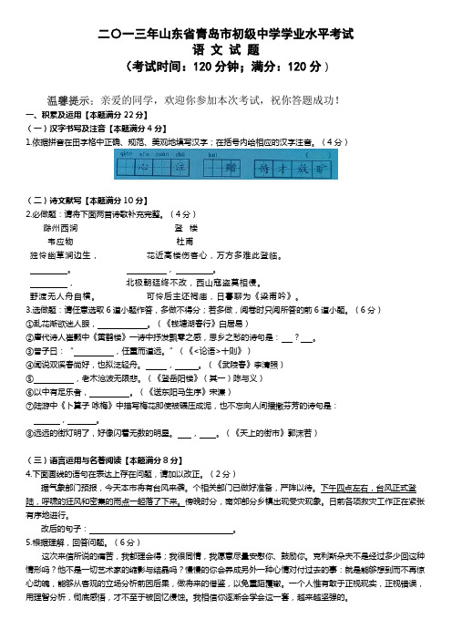 年山东省青岛市中考语文试题及答案