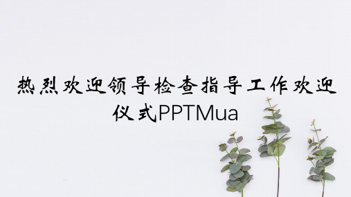 热烈欢迎领导检查指导工作欢迎仪式PPTMua