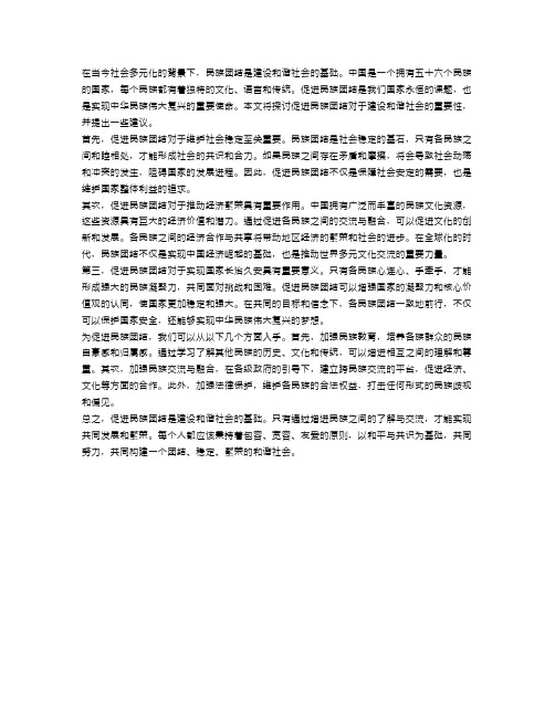 促进民族团结：建设和谐社会的基础