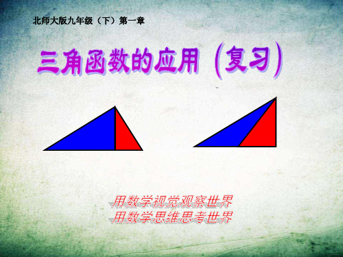 直角三角形的边角关系-三角函数的应用(复习课)