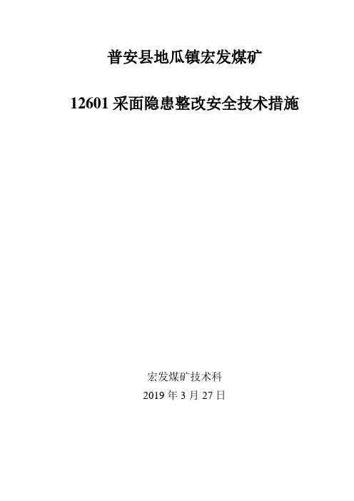 12601采面隐患整改安全技术措施