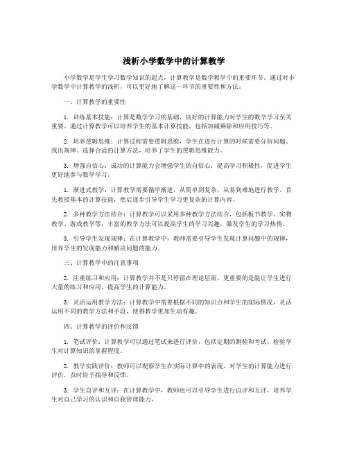 浅析小学数学中的计算教学