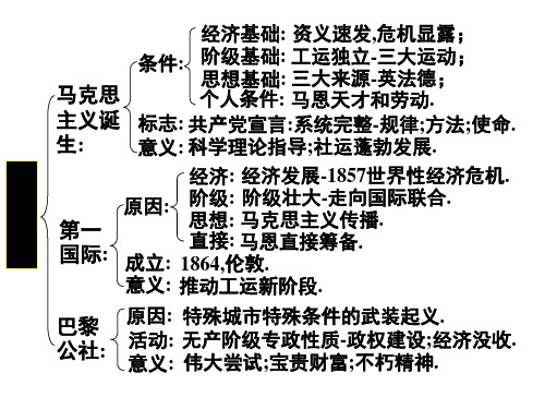 工业革命和社会主义运动(PPT)5-1