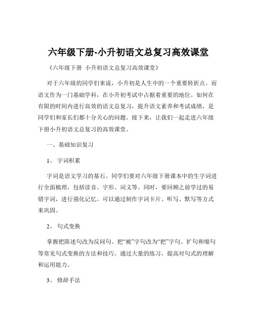 六年级下册-小升初语文总复习高效课堂