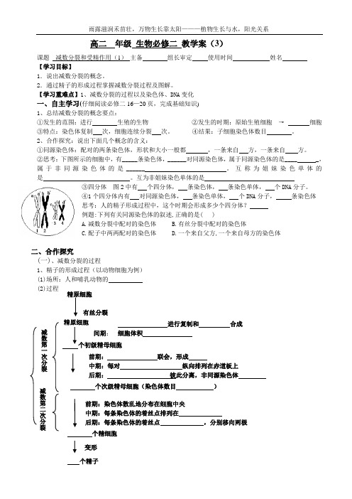 2.1减数分裂和受精作用(1)学案-人教版高中生物必修2