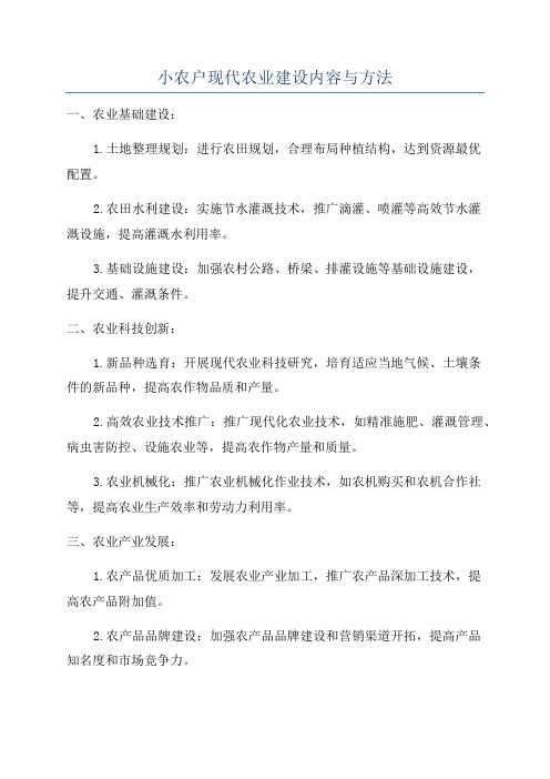 小农户现代农业建设内容与方法