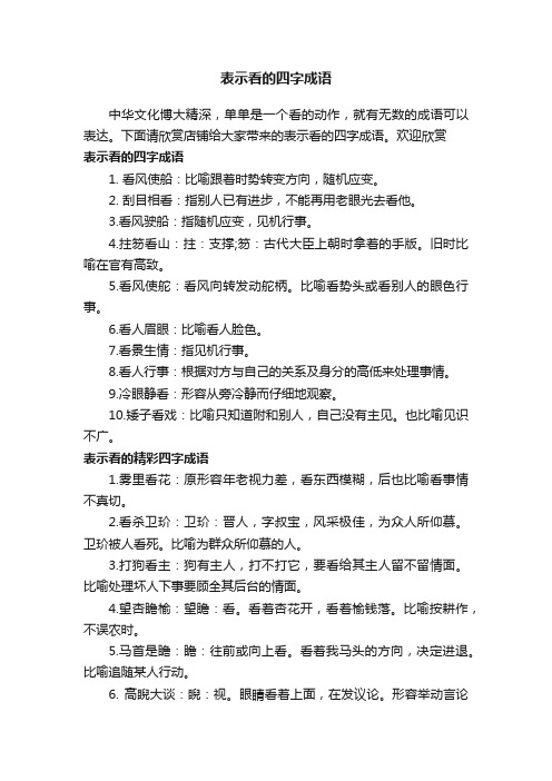 表示看的四字成语