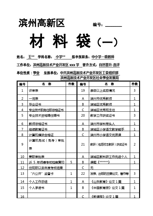 样板职称评审 材料袋封面(空)一二