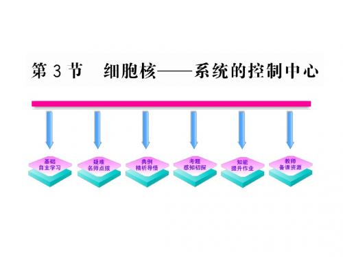 2011版高中生物全程学习方略课件：3.3 细胞核——系统的控制中心(新人教版必修1)