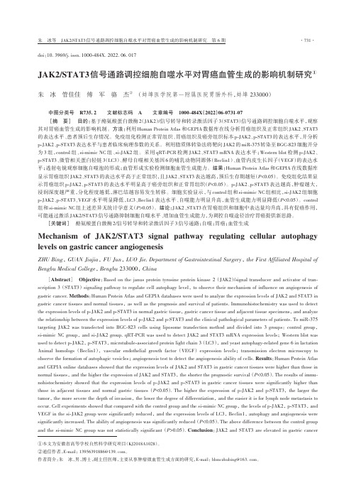 JAK2STAT3信号通路调控细胞自噬水平对胃癌血管生成的影响机制研究