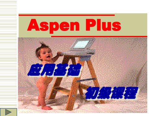 AspenPlus应用基础-入门(中文)