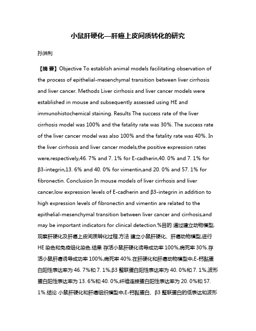 小鼠肝硬化—肝癌上皮间质转化的研究