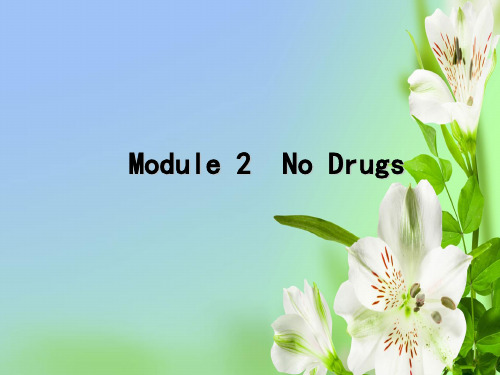 外研版高中英语必修二高考复习Module 2 No drugs一轮复习课件ppt