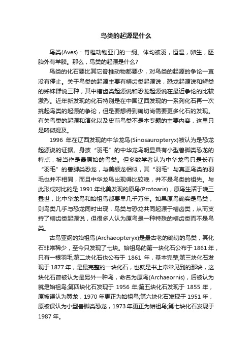 鸟类的起源是什么