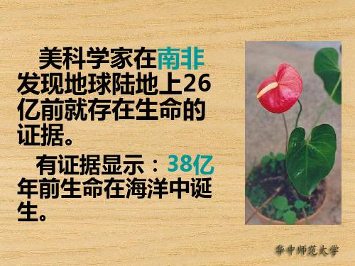 克朗奎斯特被子植物分类系统图