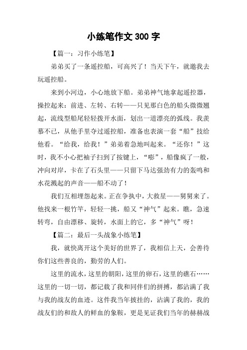 小练笔作文300字