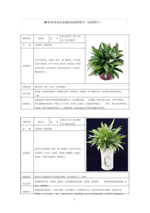 50种常见室内绿化植物介绍(带高清图片)