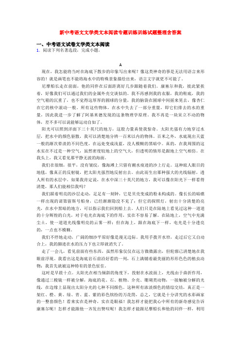 新中考语文文学类文本阅读专题训练训练试题整理含答案