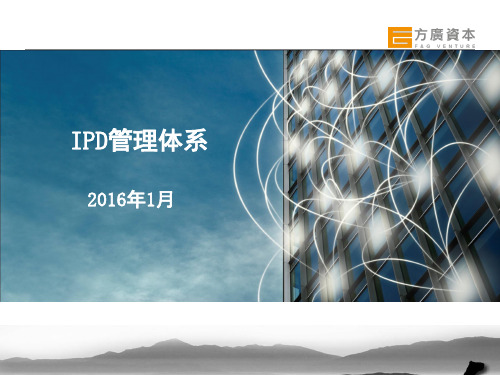 IPD管理体系 