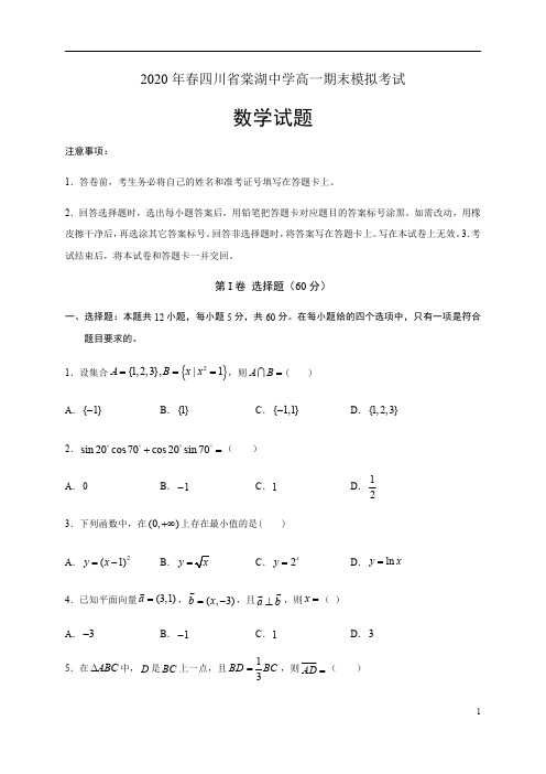 四川省棠湖中学2019-2020学年高一下学期期末模拟考试数学试题含答案