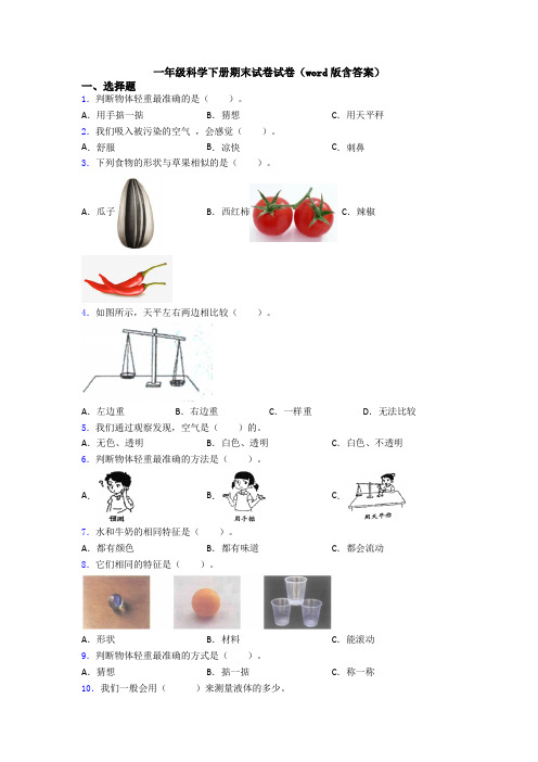 一年级科学下册期末试卷试卷(word版含答案)